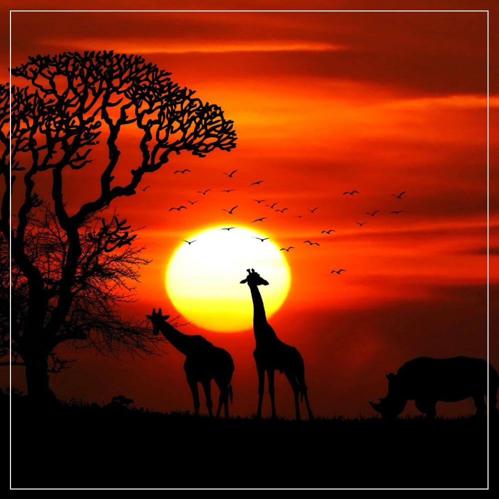 Kosher Holidays South Africa Safari